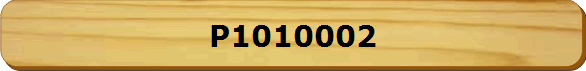 P1010002