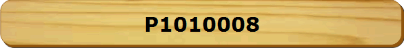 P1010008