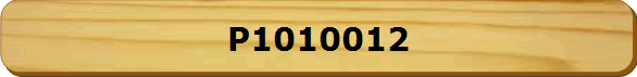 P1010012