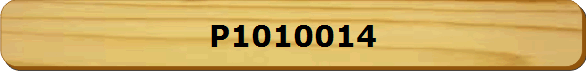 P1010014